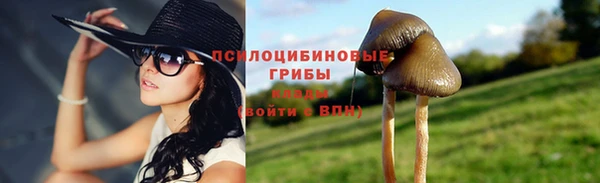 apvp Арсеньев