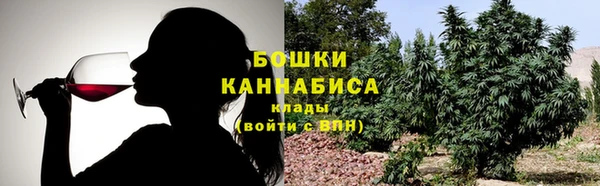 дмт Аркадак