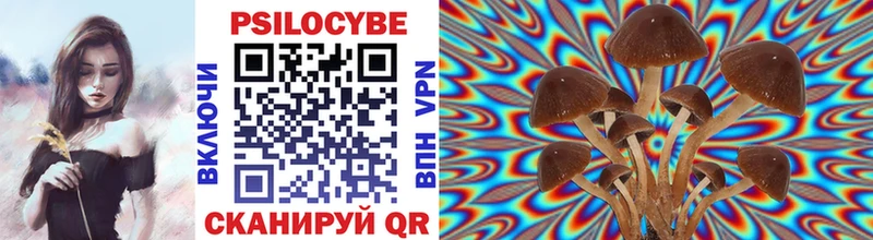 Галлюциногенные грибы Psilocybe  что такое   Няндома 